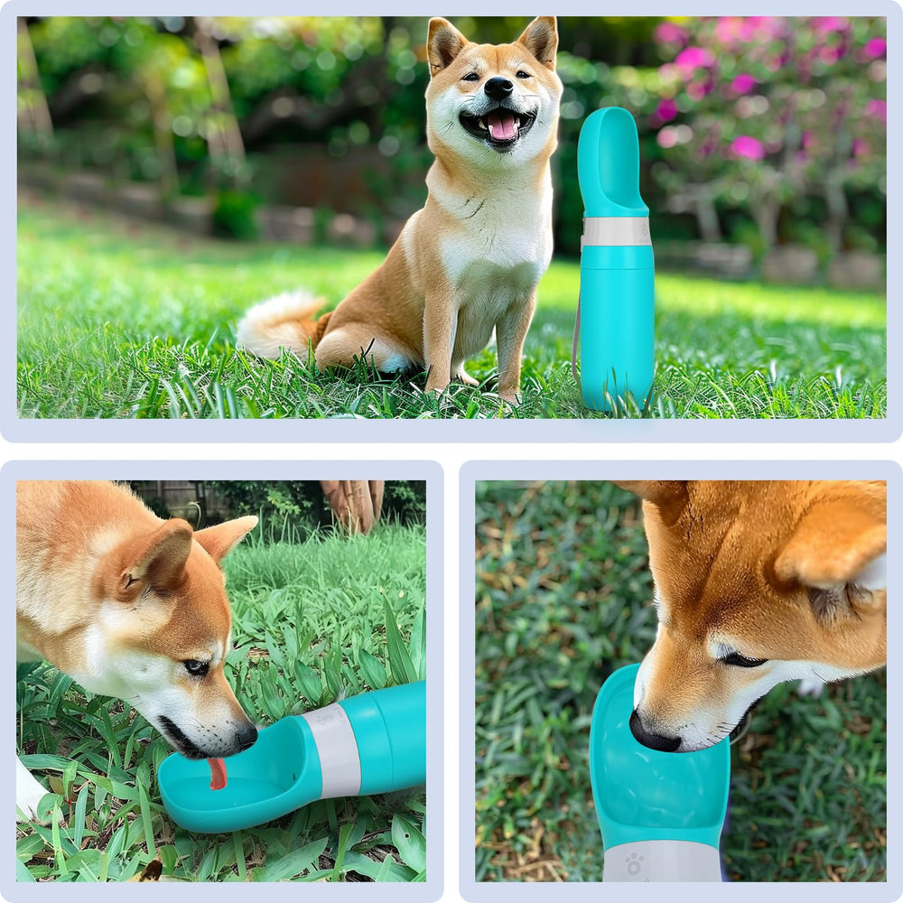 Anipaw portable dog water bottle travel use outdoors shows versatile pet hydration