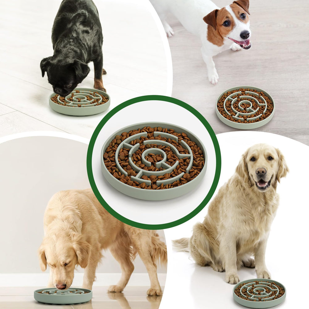 Anipaw silicone bowl odor-free and heat-resistant for durable everyday use.