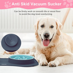 Anipaw stainless steel water bowl durable hydration for pets.