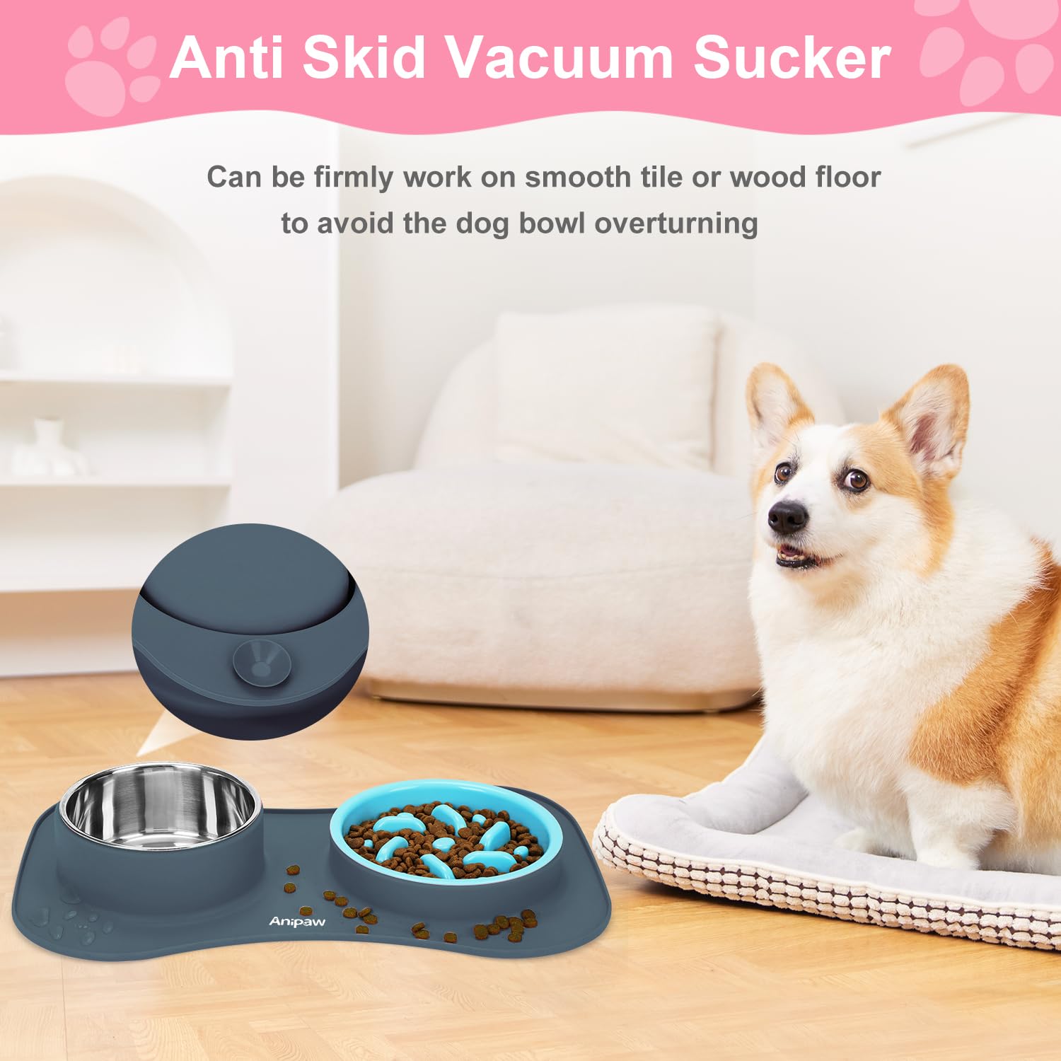 Anipaw water bowl in the 3-in-1 set supports easy hydration during meals.