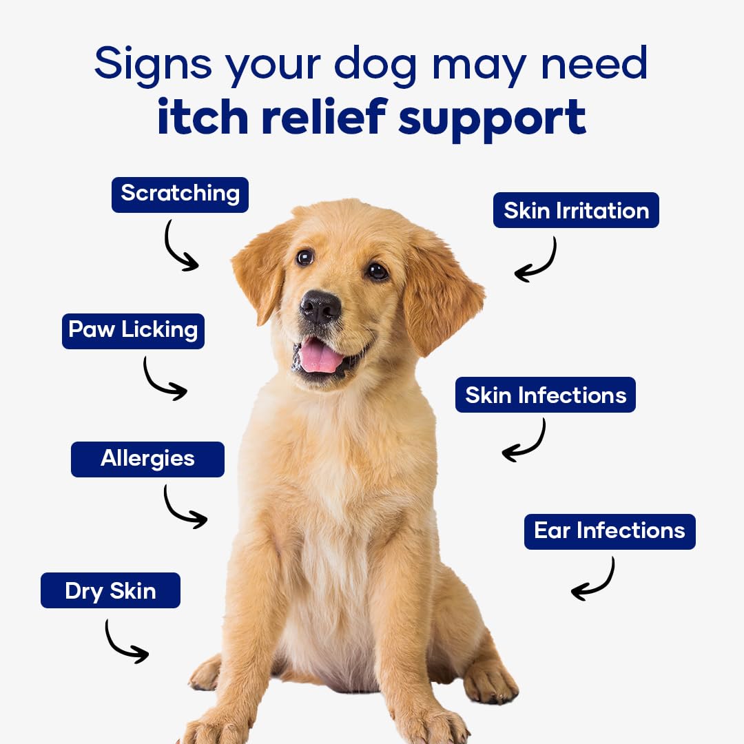Aniwell anchovy oil ingredient in glass dish signaling omega-3 skin support for dogs.