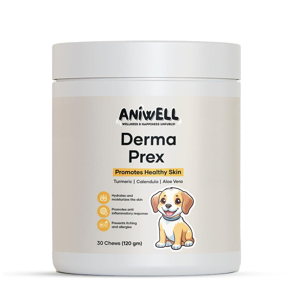 Aniwell DermaPrex bottle packaging showcases natural skin support for dogs