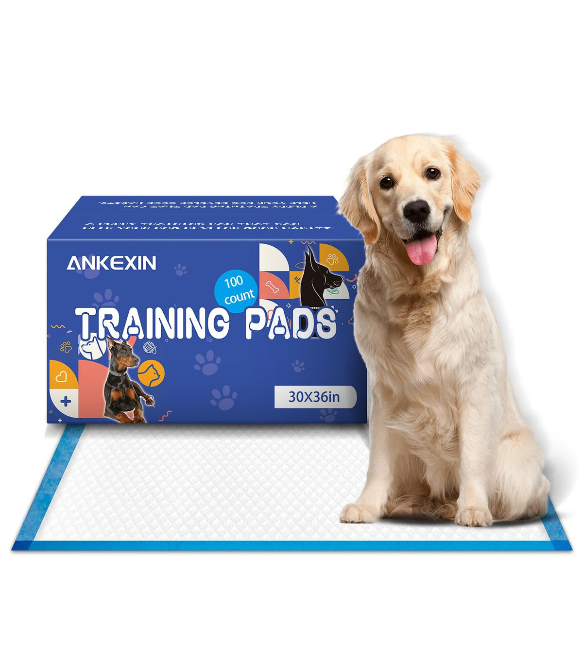 ANKEXIN XL puppy pads 30x36 pack shot shows bulk protection for busy households.