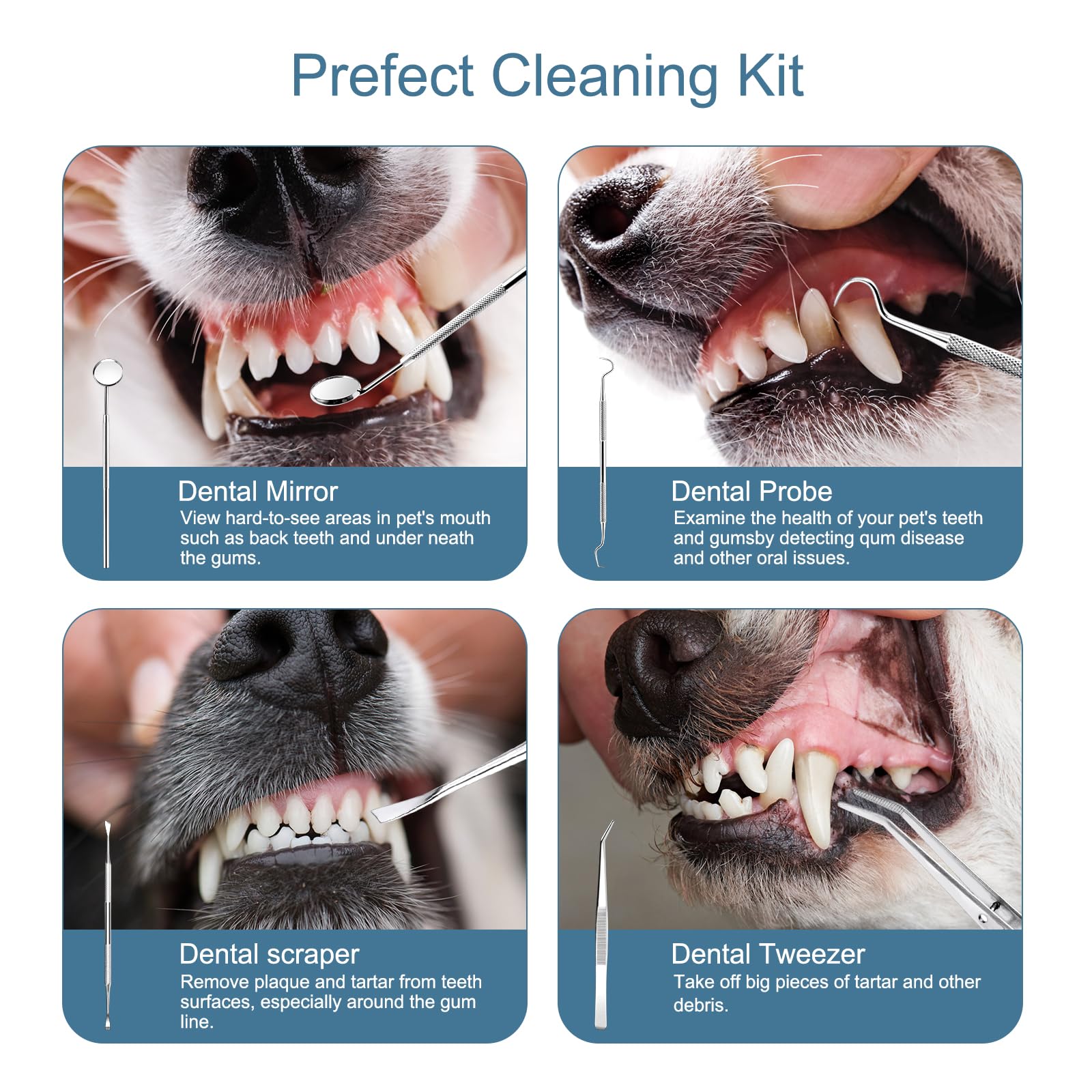 Ankilo upgraded dog plaque remover tips and heads in kit