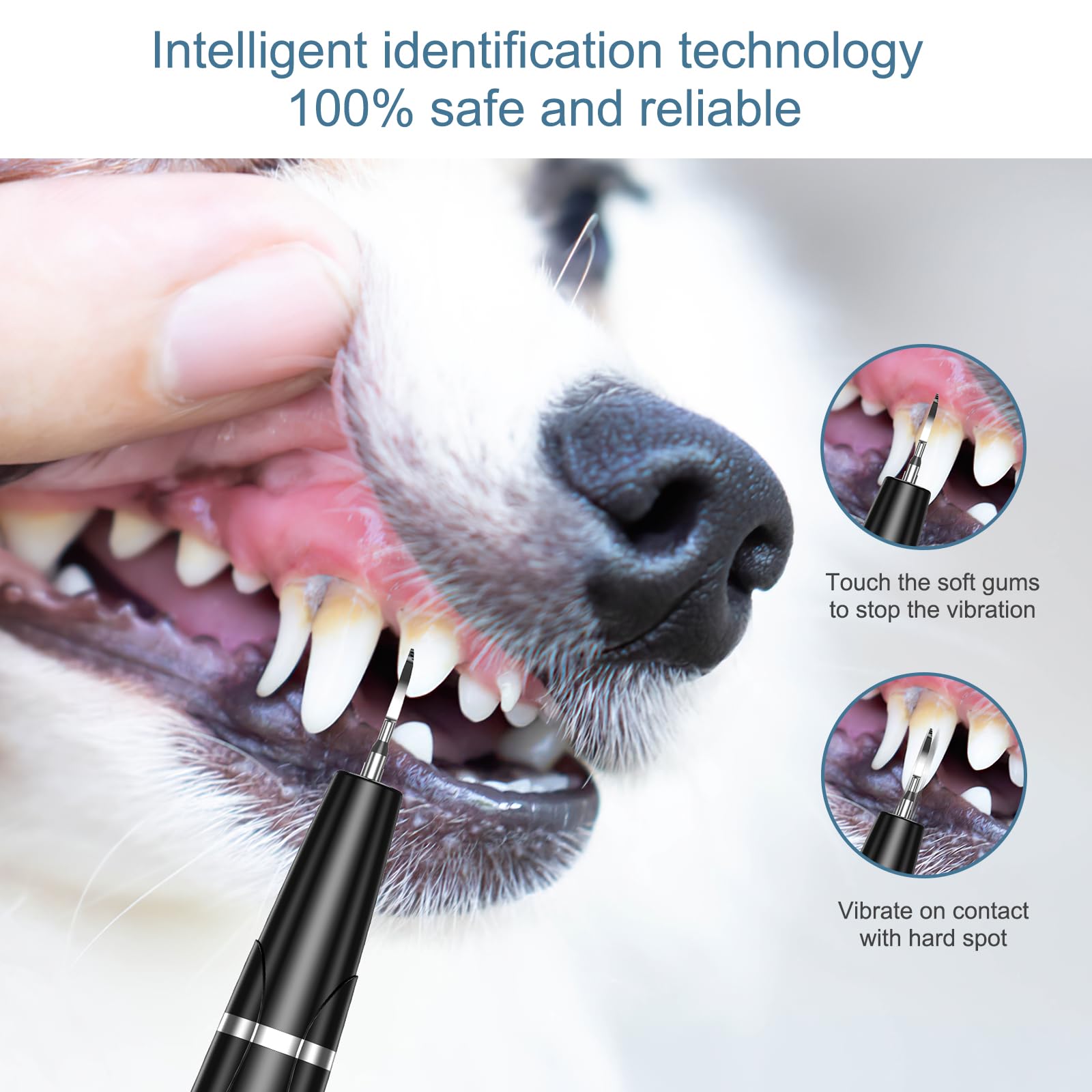 Ankilo upgraded dog plaque remover USB charging shows cordless convenience