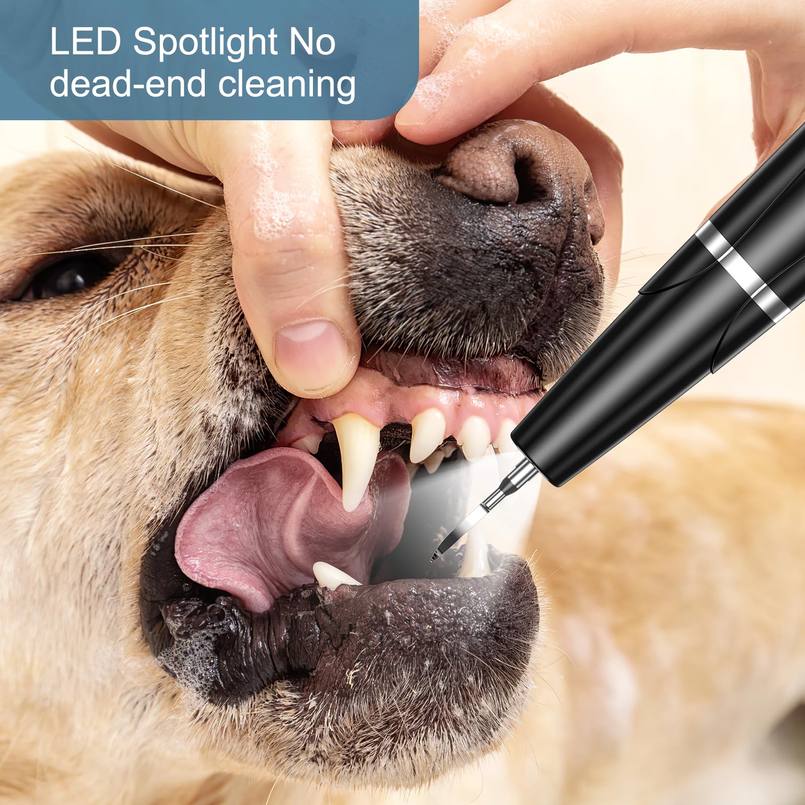 Ankilo upgraded dog plaque remover with mirror for easy gum inspection