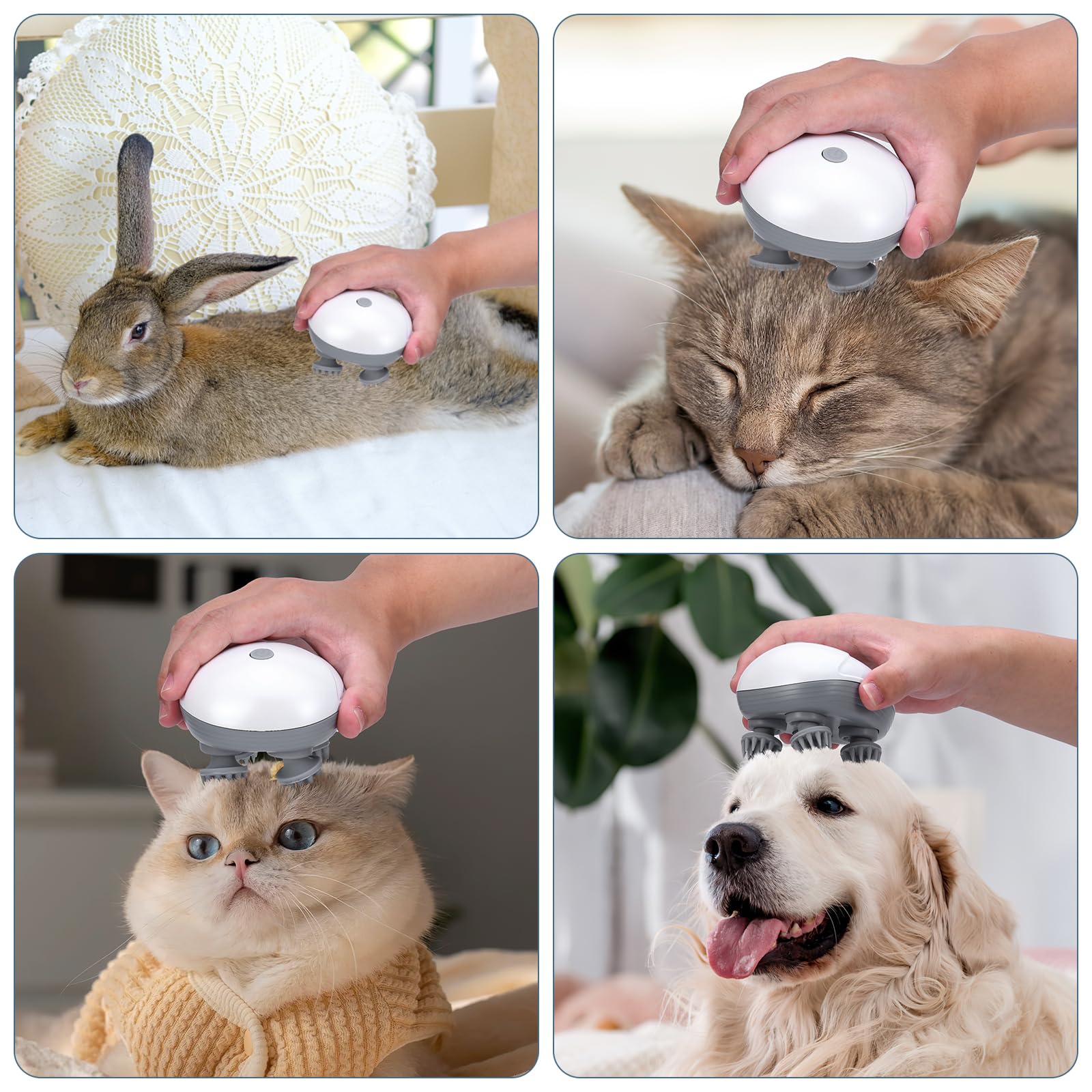 Ankilo upgraded massager 4 heads assembly showcases versatile therapy for dogs and cats.
