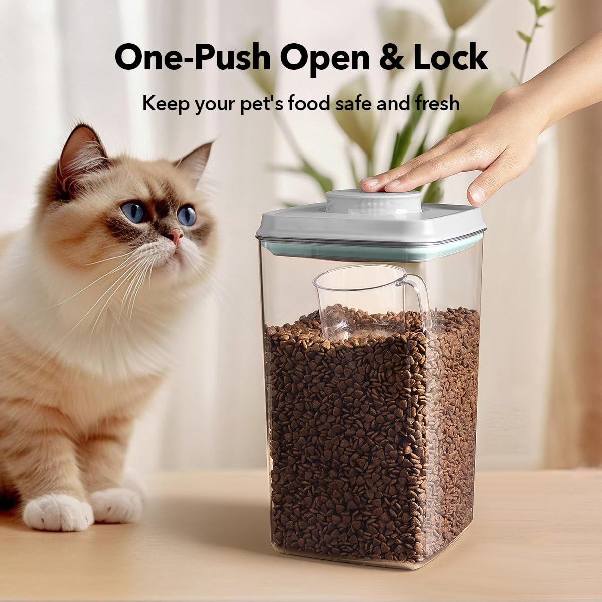 Ankou BPA-free PET container keeps food safe and odorless