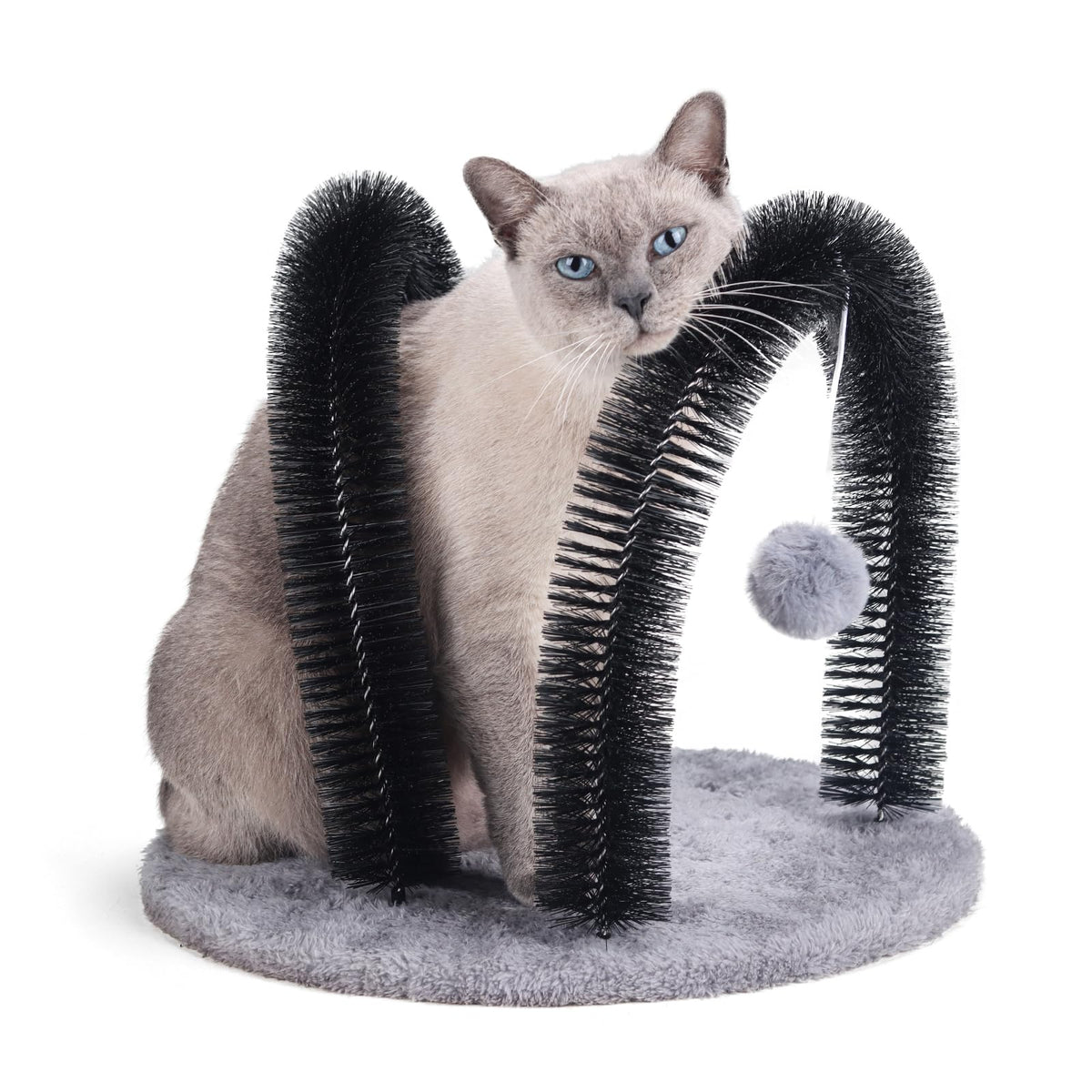 Ankuliy cat arch self groomer massager ready for independent grooming and play
