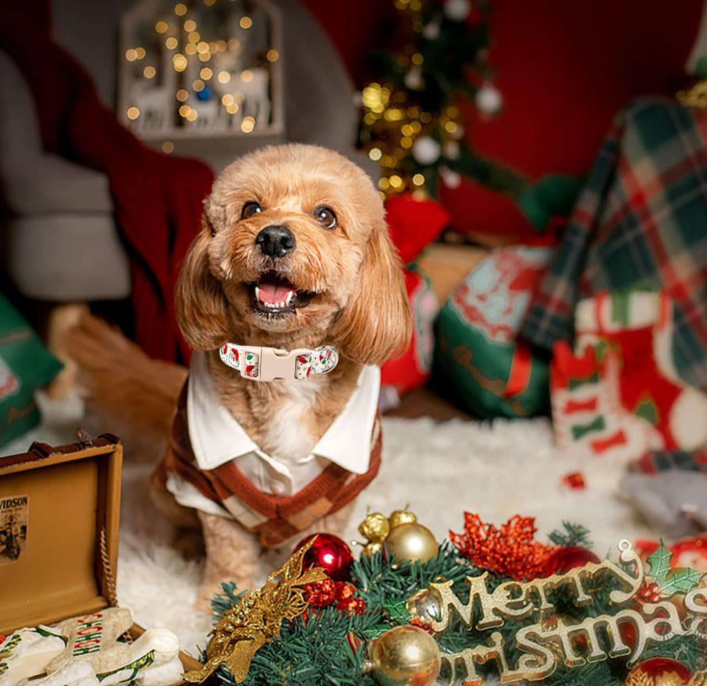 Anlvico Christmas dog collar buckle and D-ring detail for easy leash attachment.