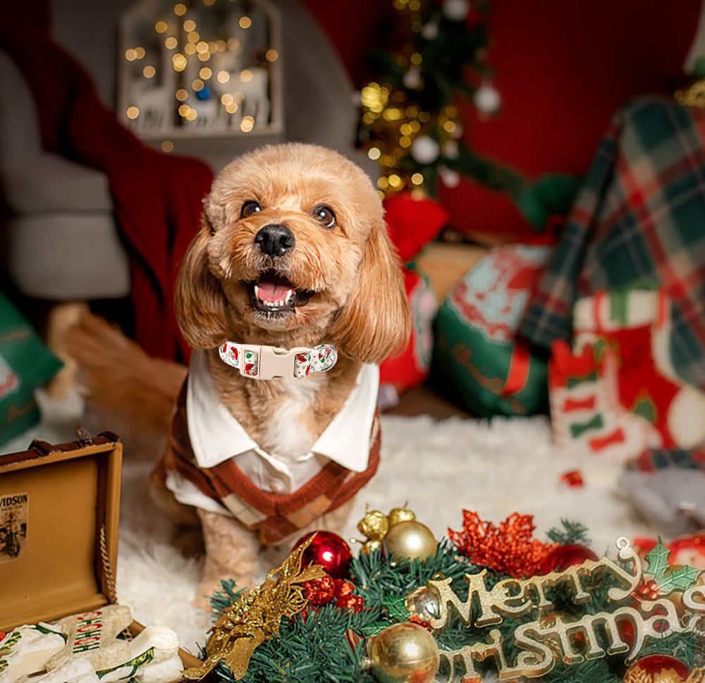 Anlvico Christmas dog collar buckle and D-ring detail for easy leash attachment.