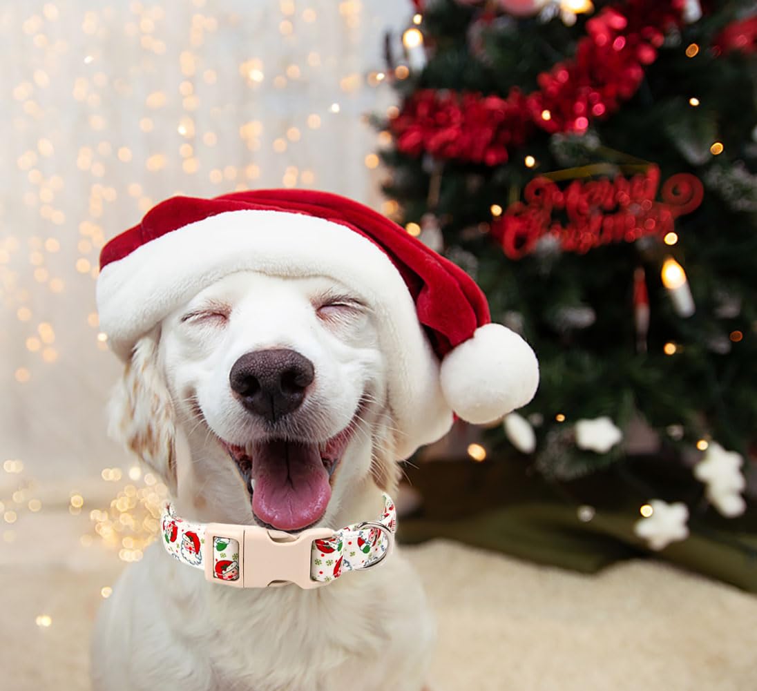 Anlvico Christmas dog collar easy-clean design keeps maintenance quick after adventures.