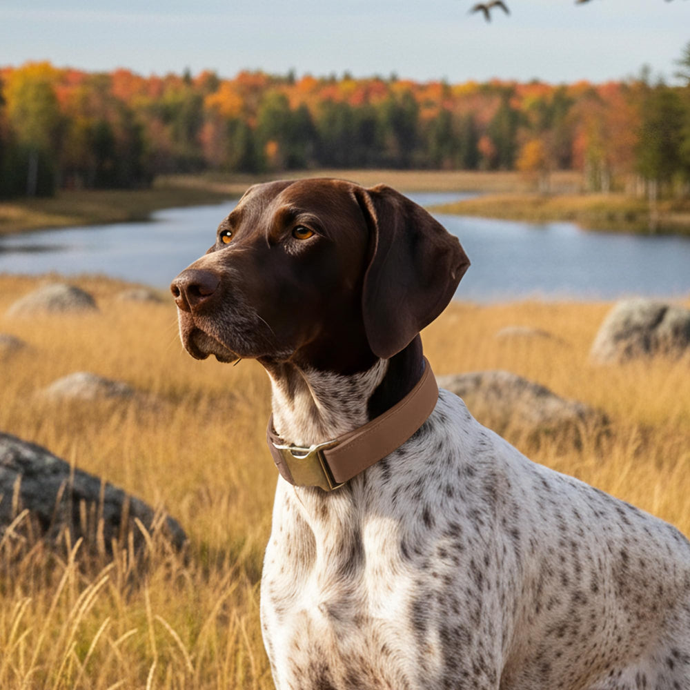 ANMUDA leather dog collar easy-clean design, wipe with damp cloth after outdoor adventures