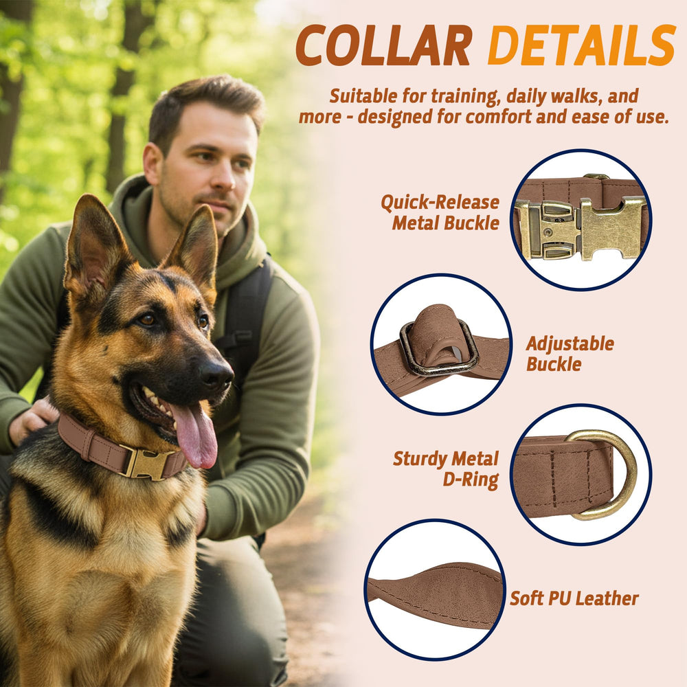 ANMUDA leather dog collar on dog during outdoor stroll, stylish and practical
