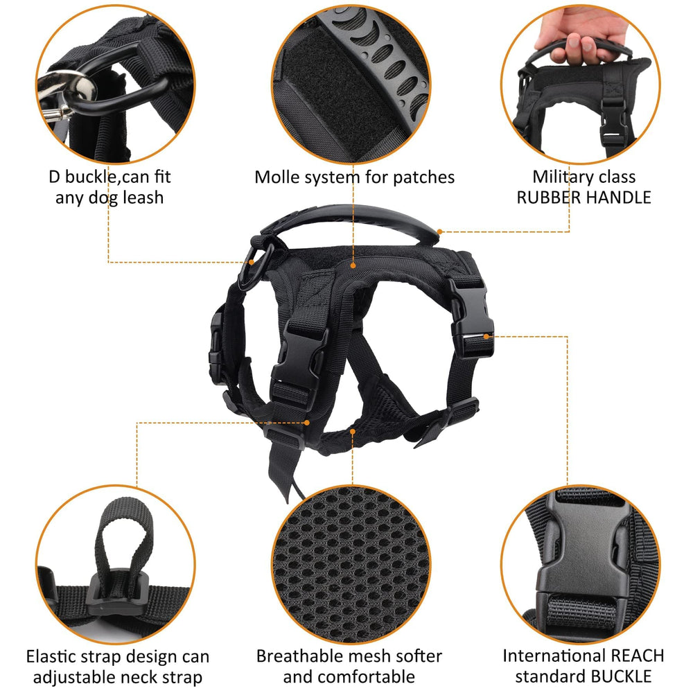 Annchwool dog leash 4ft provides reliable control on walks and hikes.