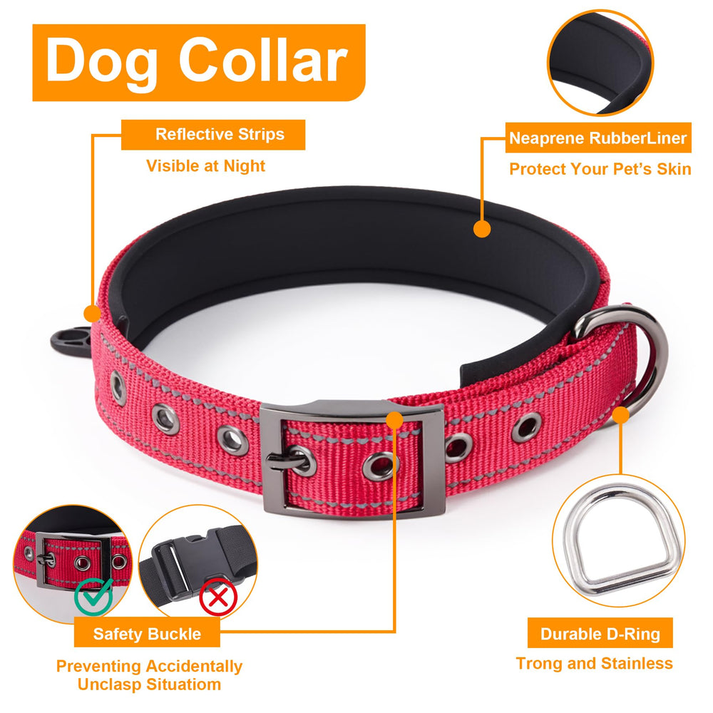 Annchwool dual-handle leash supports training and everyday walking.