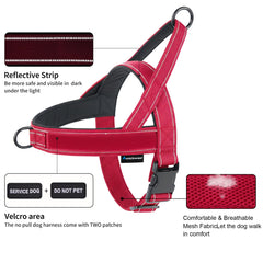 Annchwool leash with car seatbelt clip secures pet during car rides.