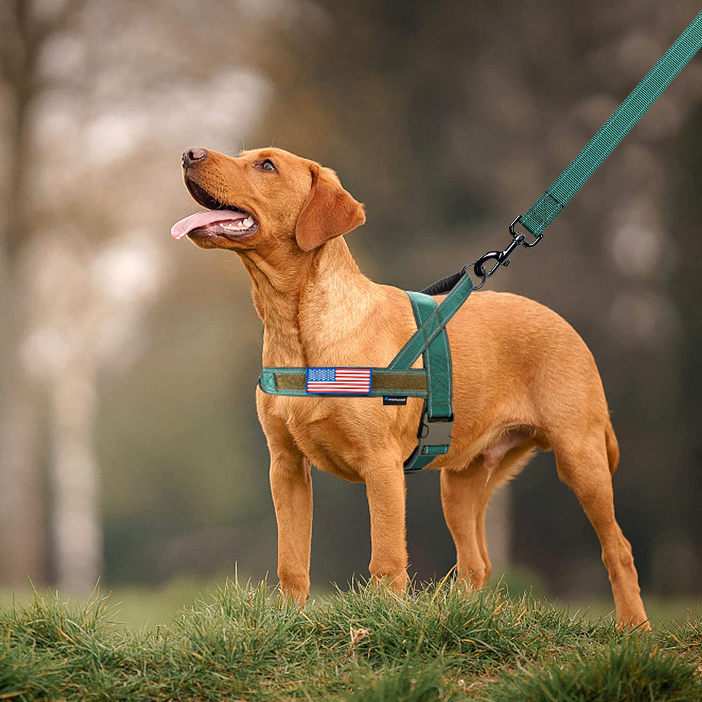 Annchwool No-Pull Harness Green XL size-chart reference image helps find the correct fit.