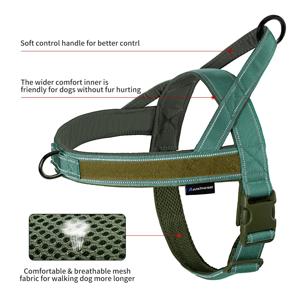 Annchwool No Pull Harness with O-ring and D-ring for easy leash and tag attachments.