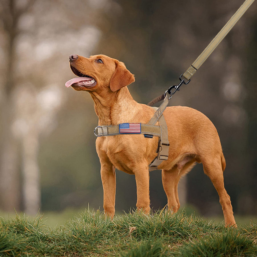Annchwool no-pull harness patches with Velcro for personalization.