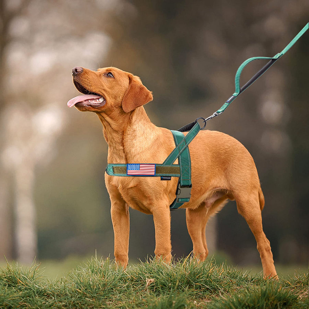 Annchwool No Pull Harness velcro patches included to customize your dog's look.