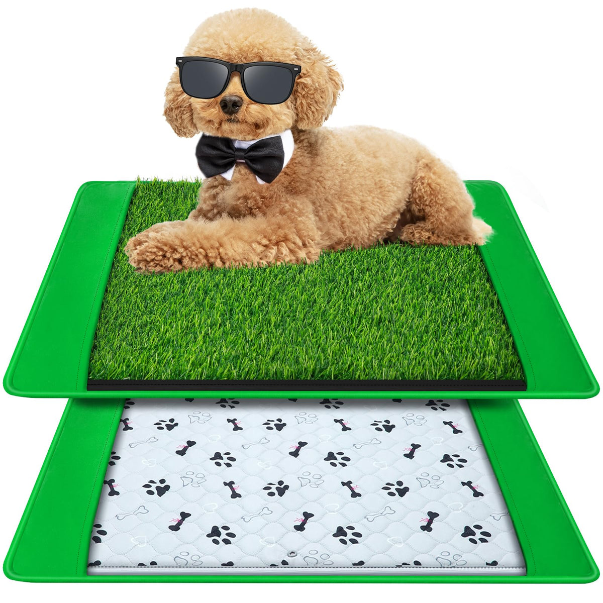 Annexfun dog grass mat 20x25 front view—potty-ready indoor convenience.