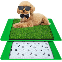 Annexfun dog grass mat 20x25 front view—potty-ready indoor convenience.