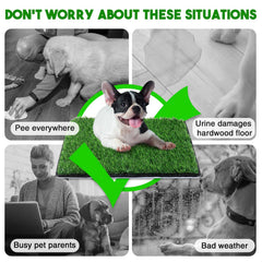 Annexfun grass mat demonstrates quick drainage for mess-free potty sessions.