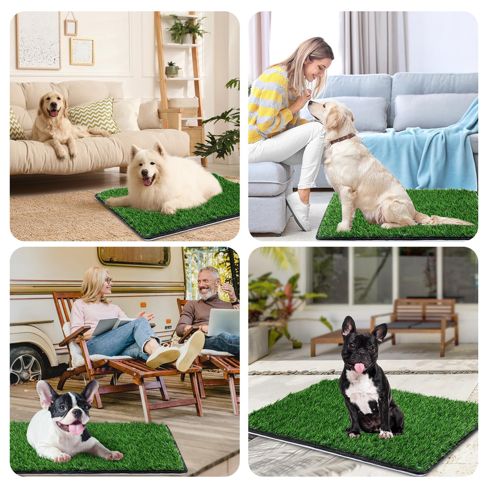 Annexfun solution supports house-training small dogs in apartments.