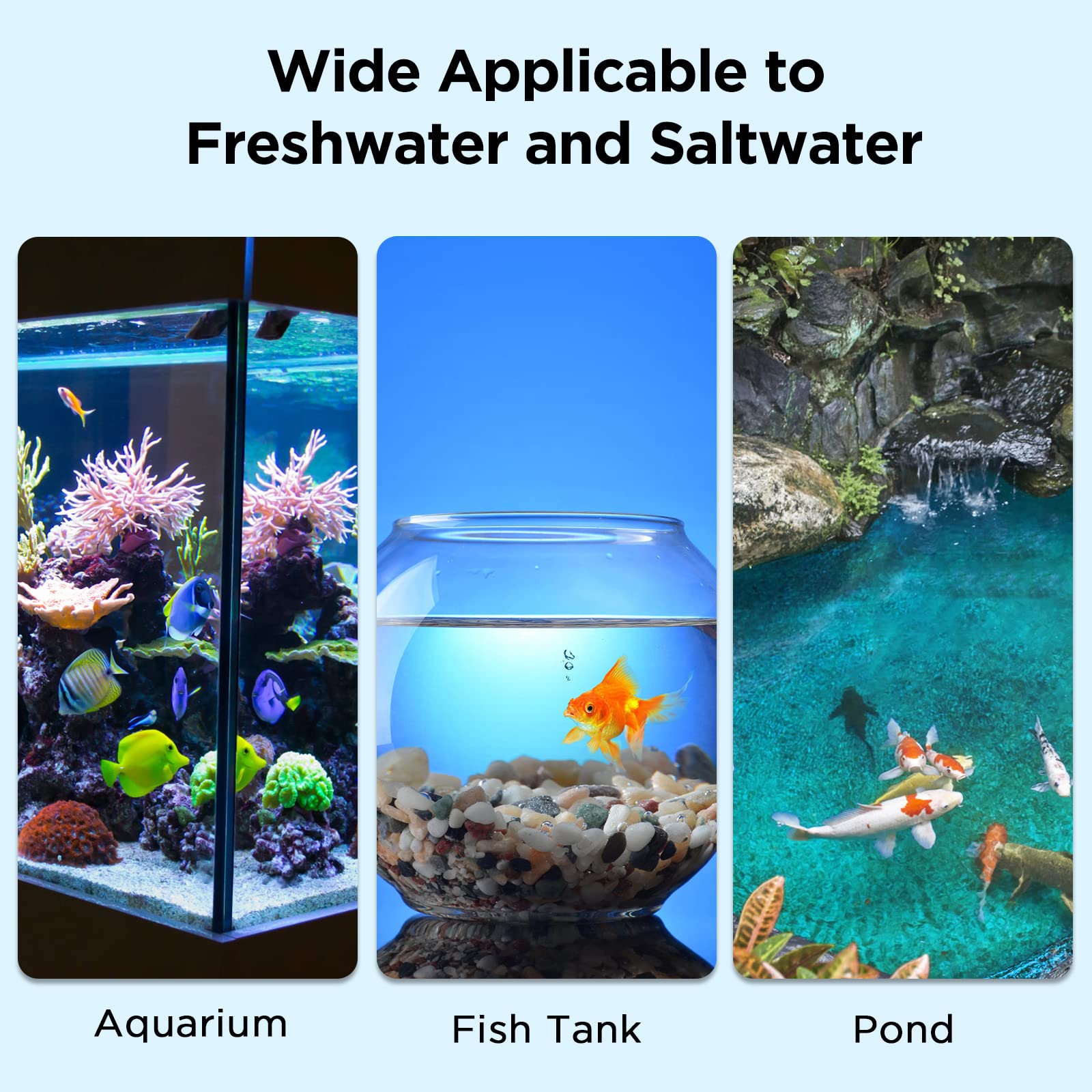 Anniple aquarium kit with tubes and droppers enables precise sample handling.