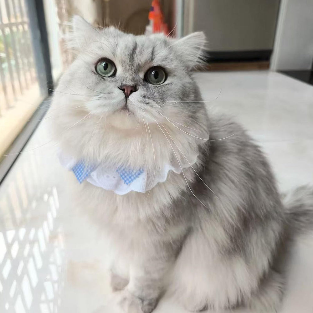 ANNUOZE lace-plaid pet accessory adds vintage charm to tiny pets' photos