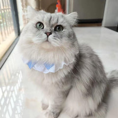 ANNUOZE lace-plaid pet accessory adds vintage charm to tiny pets' photos