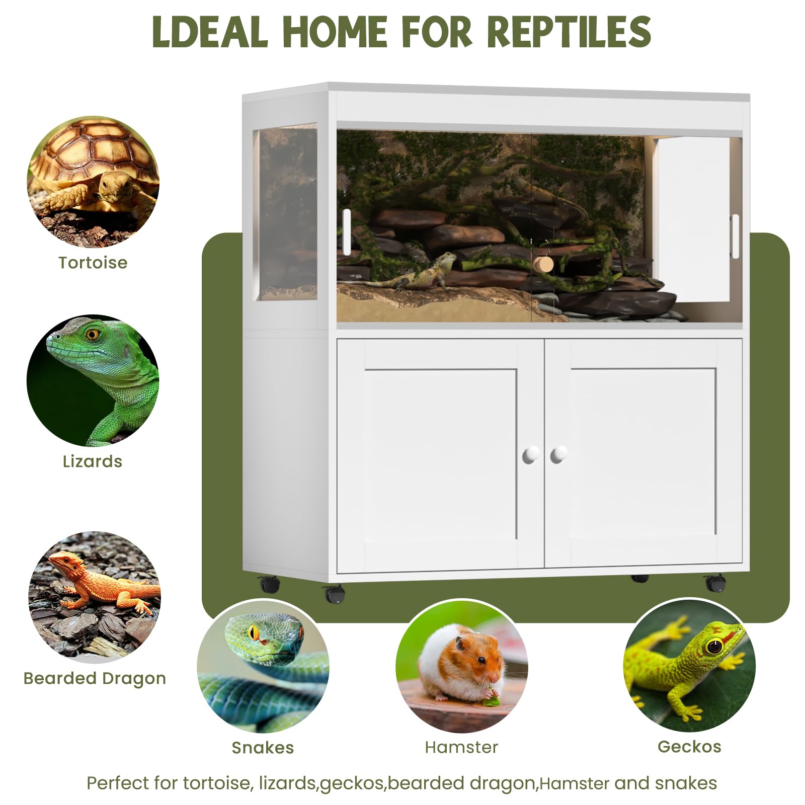 Annzoe large 60-gallon reptile terrarium with sliding doors demonstrates secure, easy-access storage.