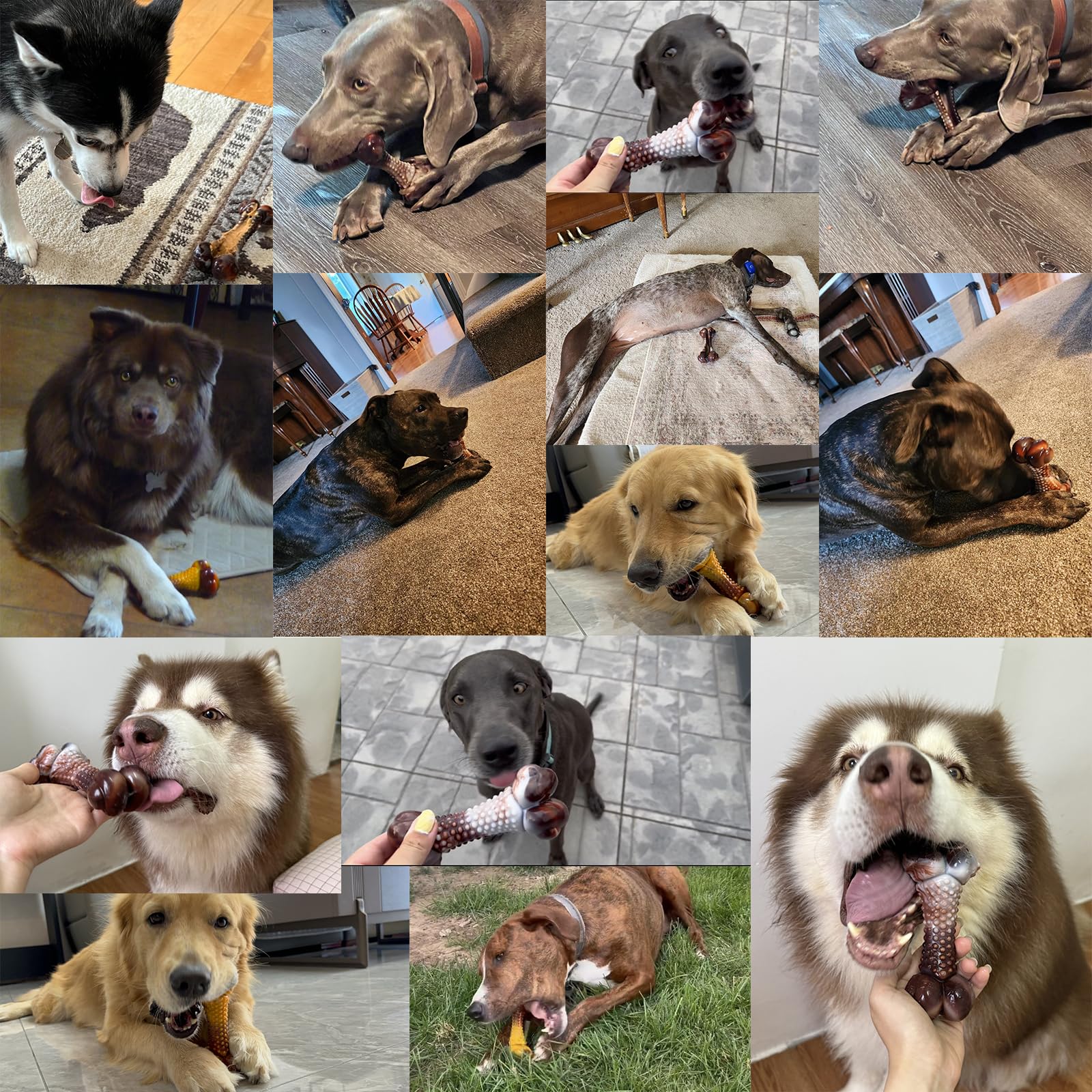 Anoodi durable dog toy suited for large breeds and powerful chewers