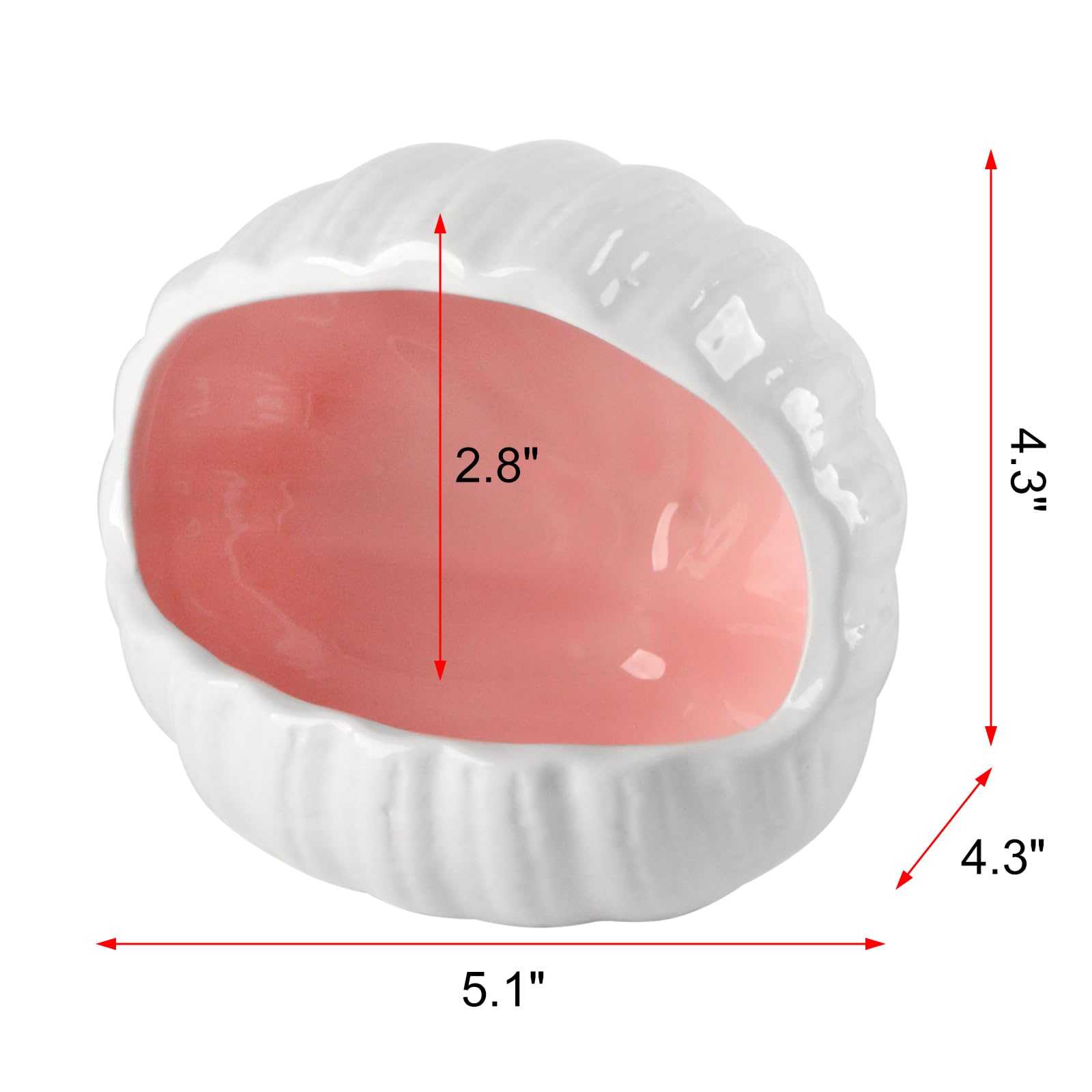 AnRui betta tank cave pink ceramic provides secure shelter for shy fish.
