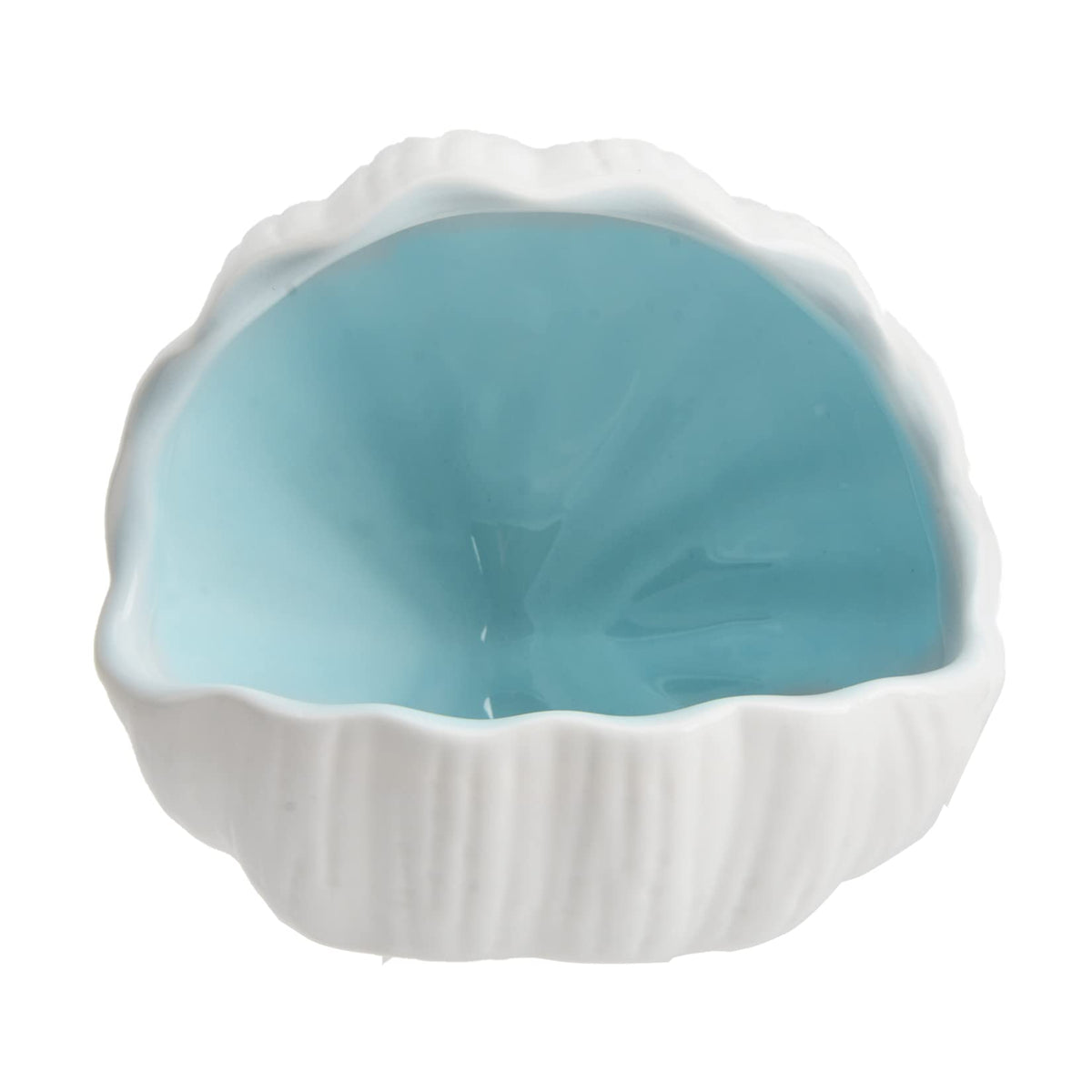 AnRui conch shell ornament closeup showing smooth glaze for fish safety