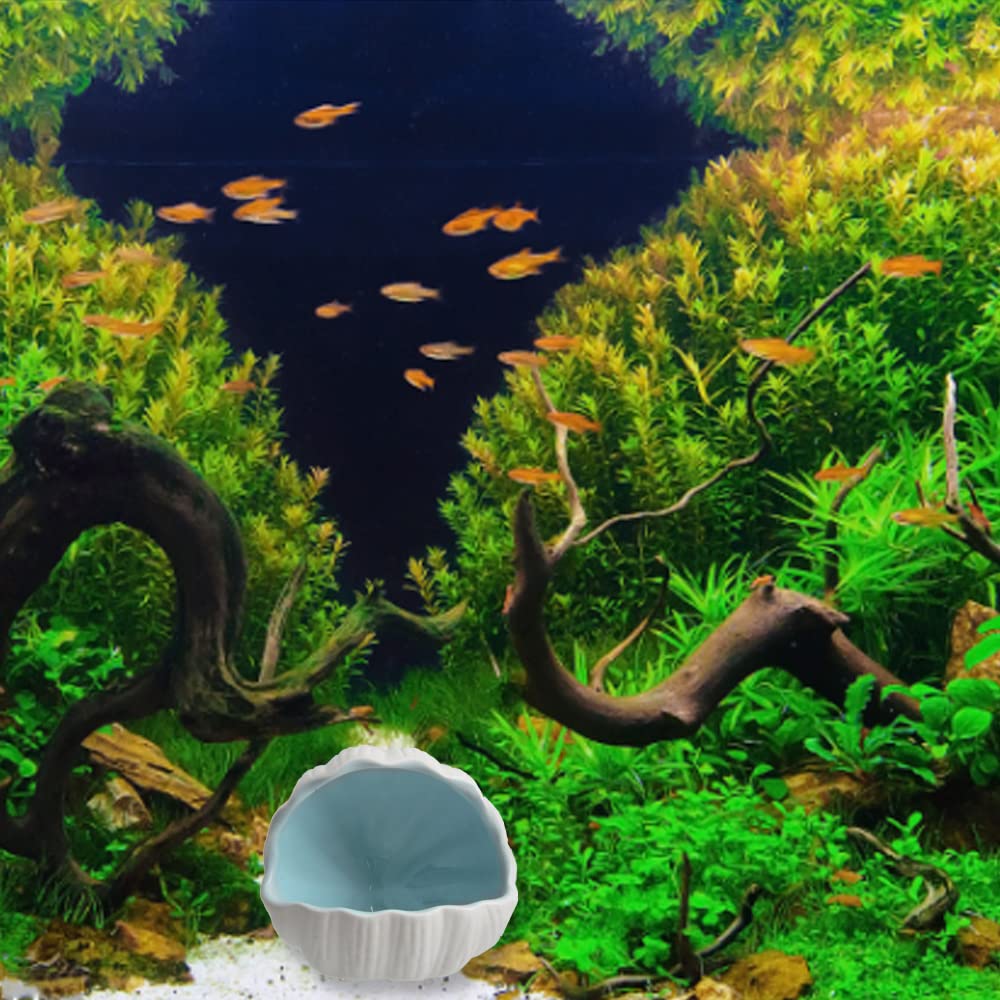 AnRui conch-shell ornament blue hole feature offers cozy hiding spots