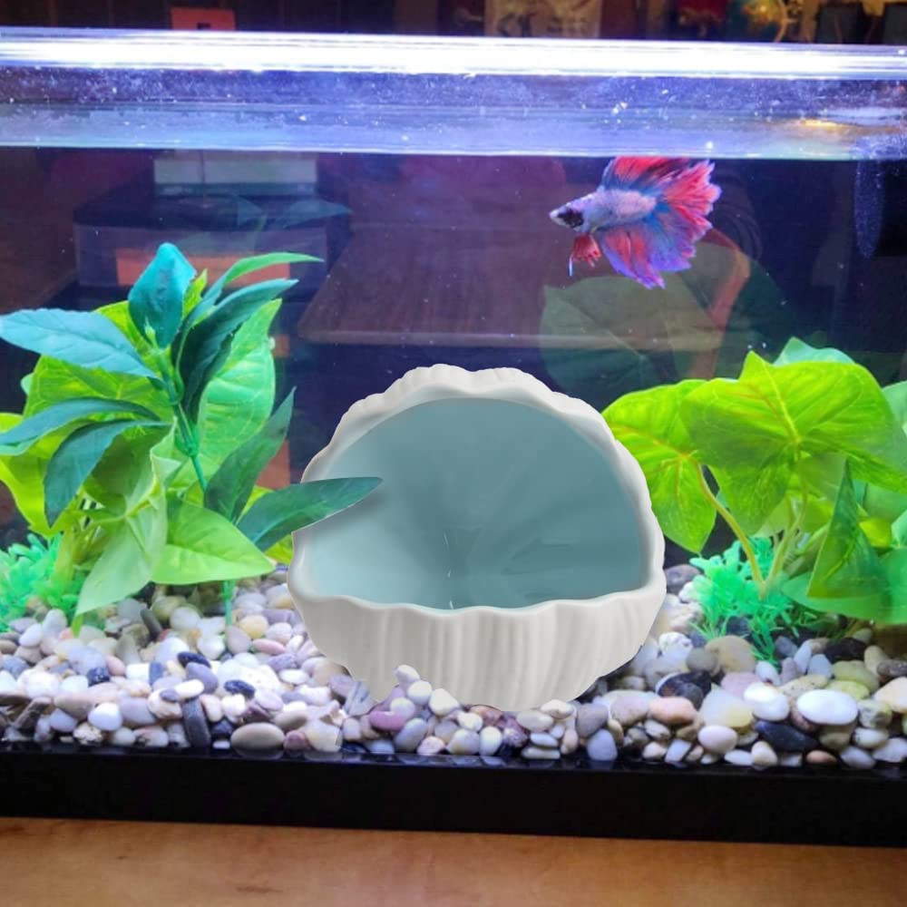 AnRui conch-shell ornament blue rests as decorative cave and play area