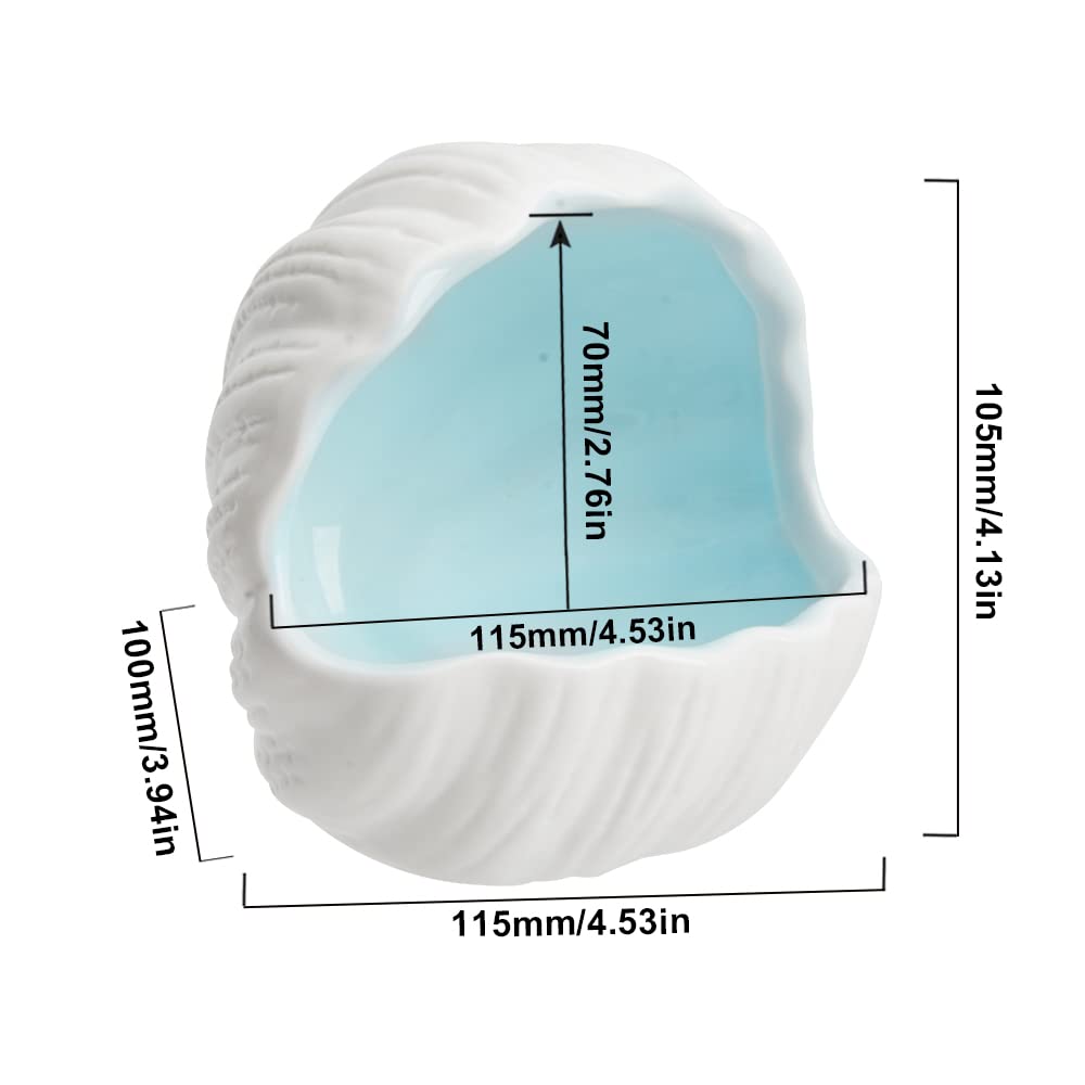 AnRui conch-shell ornament blue tank-side view adds decorative appeal to betta tanks