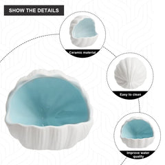 AnRui conch-shell ornament blue tank-view captures space for fish to explore