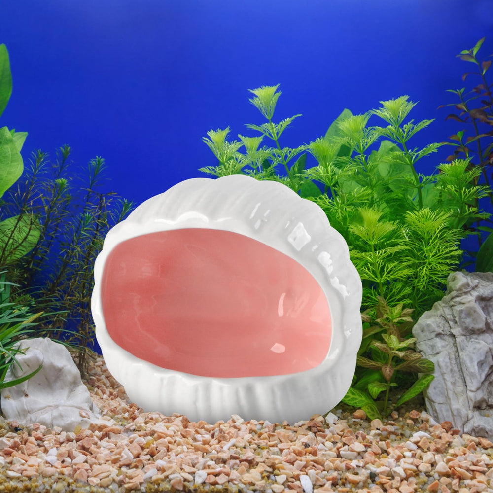 AnRui shell cave pink decor brightens tanks and offers play areas.