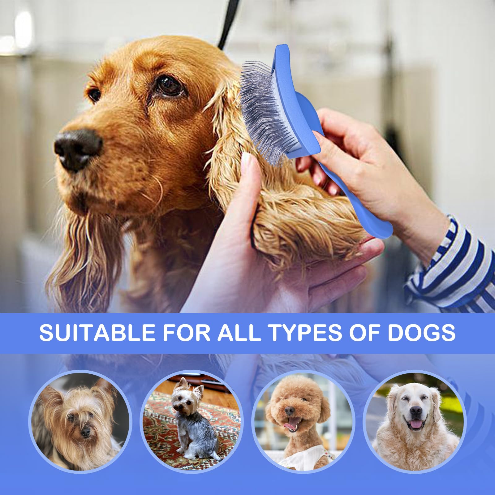 Anrundar grooming-kit large-dog-brush-set view of complete home grooming solution