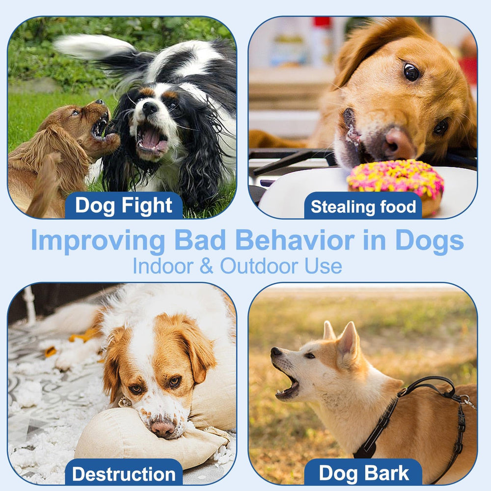 ANSJDH three-step training process illustrates easy behavior correction.