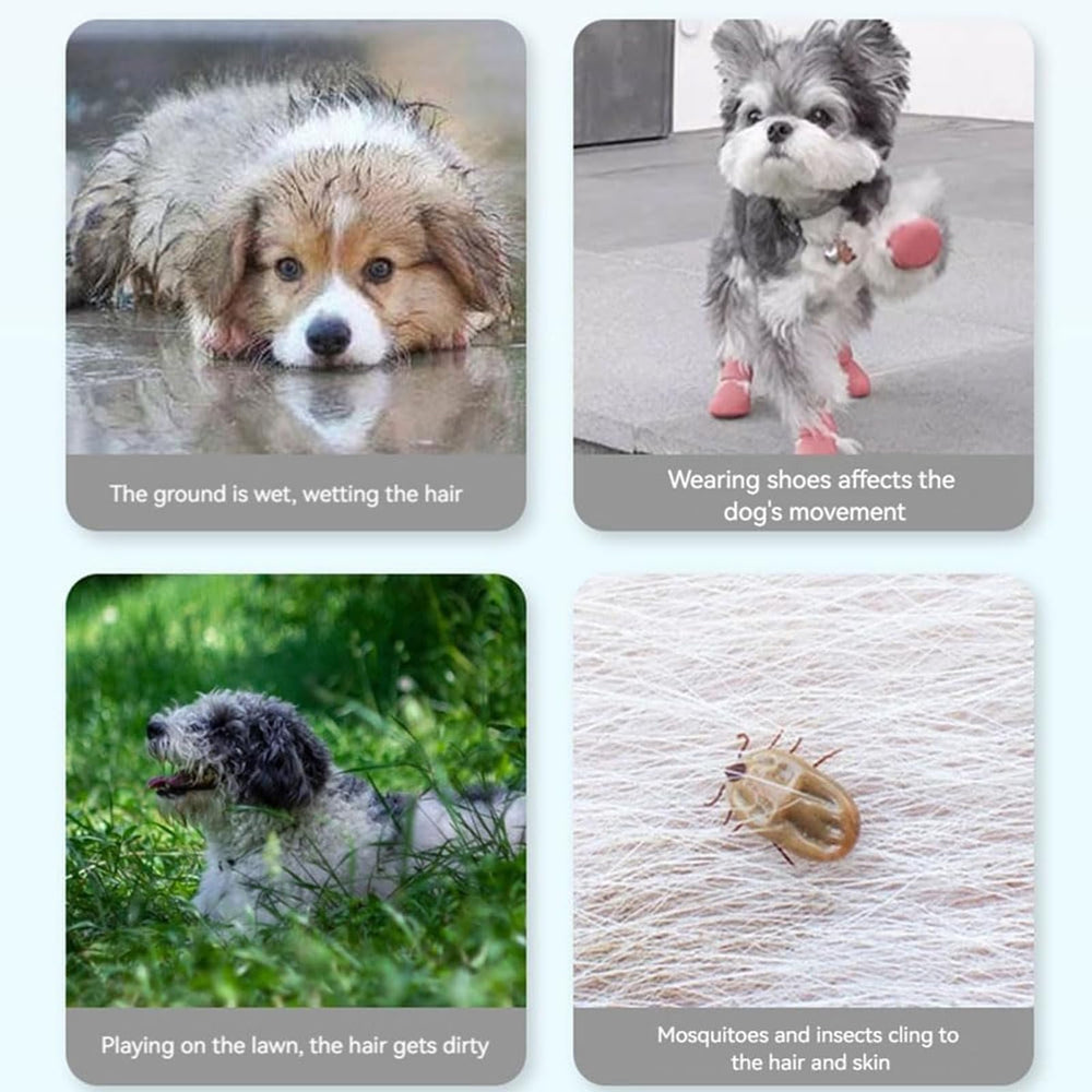 Anti Dirt Pants for Dogs shown in use during outdoor walking adventures.