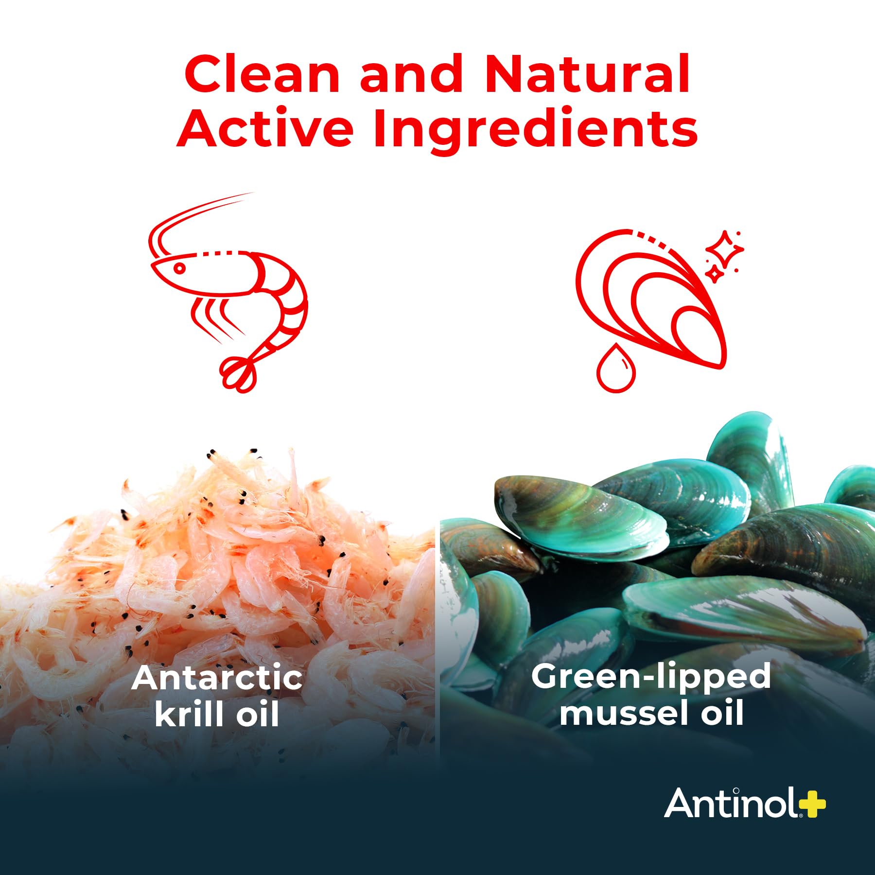 Antarctic krill oil component in Antinol Plus formulation