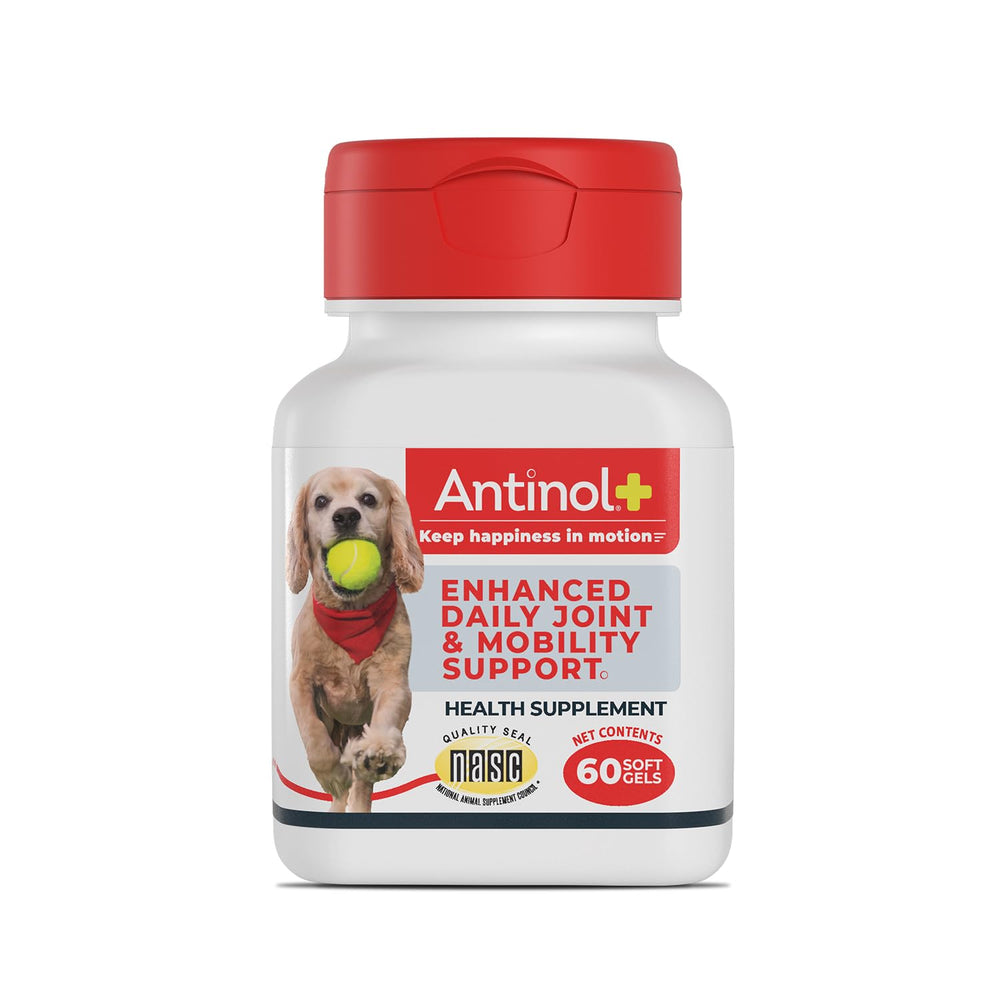Antinol Plus bottle front view highlighting a premium dog joint supplement.
