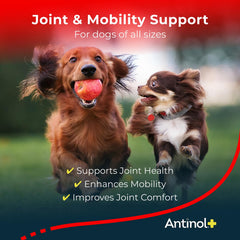 Antinol Plus bottle label shows clinical studies backing mobility.