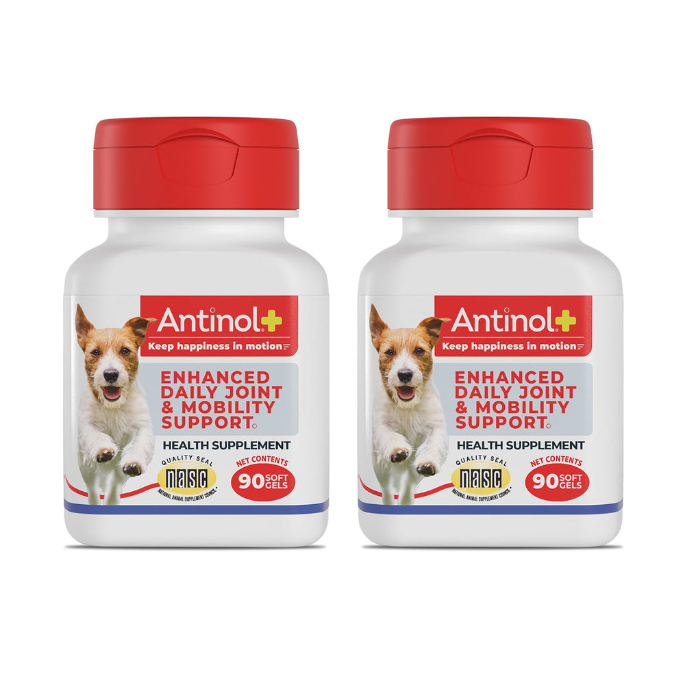 Antinol Plus bottle pour demonstrates daily joint support for dogs.