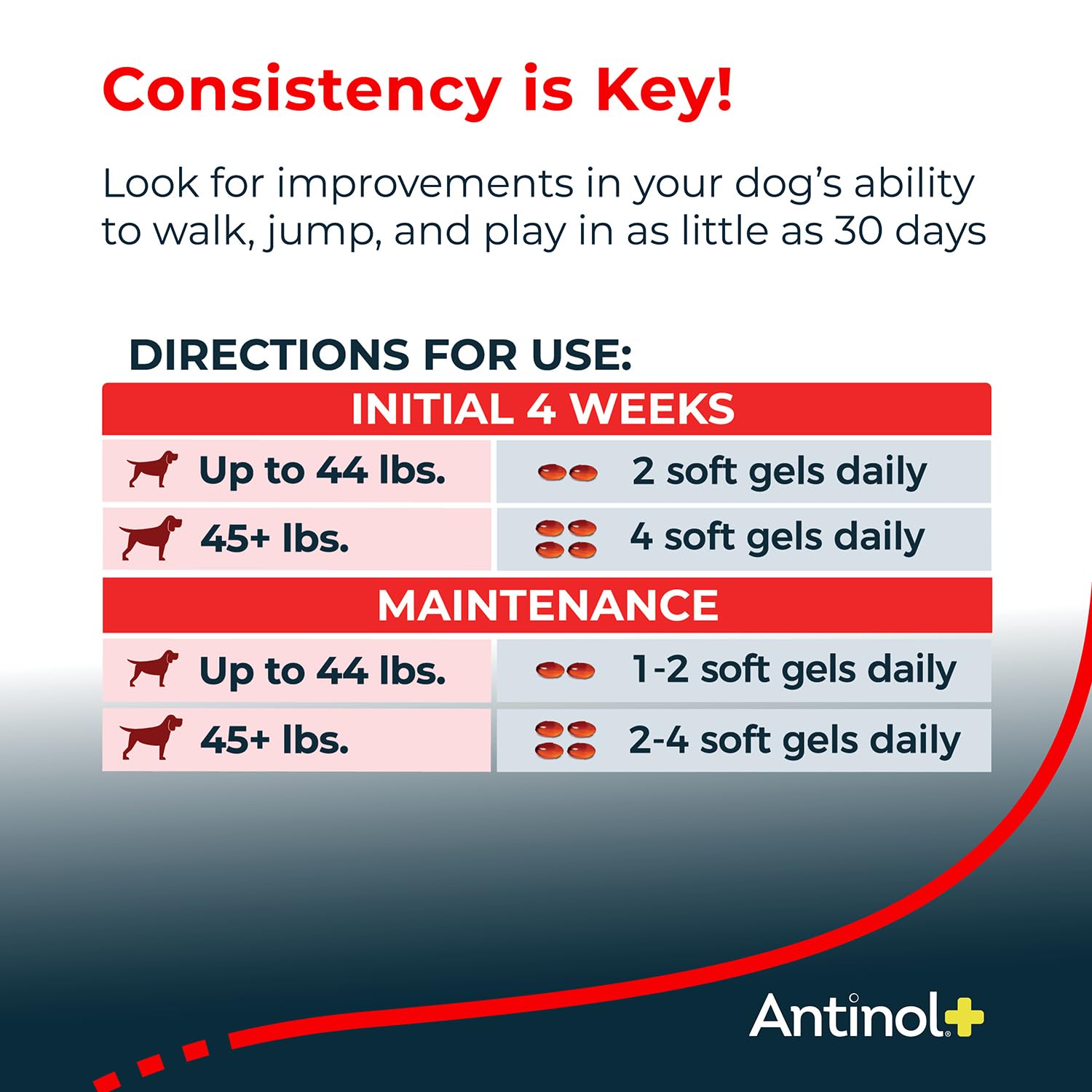 Dog walking in park with Antinol Plus suggests improved daily mobility.