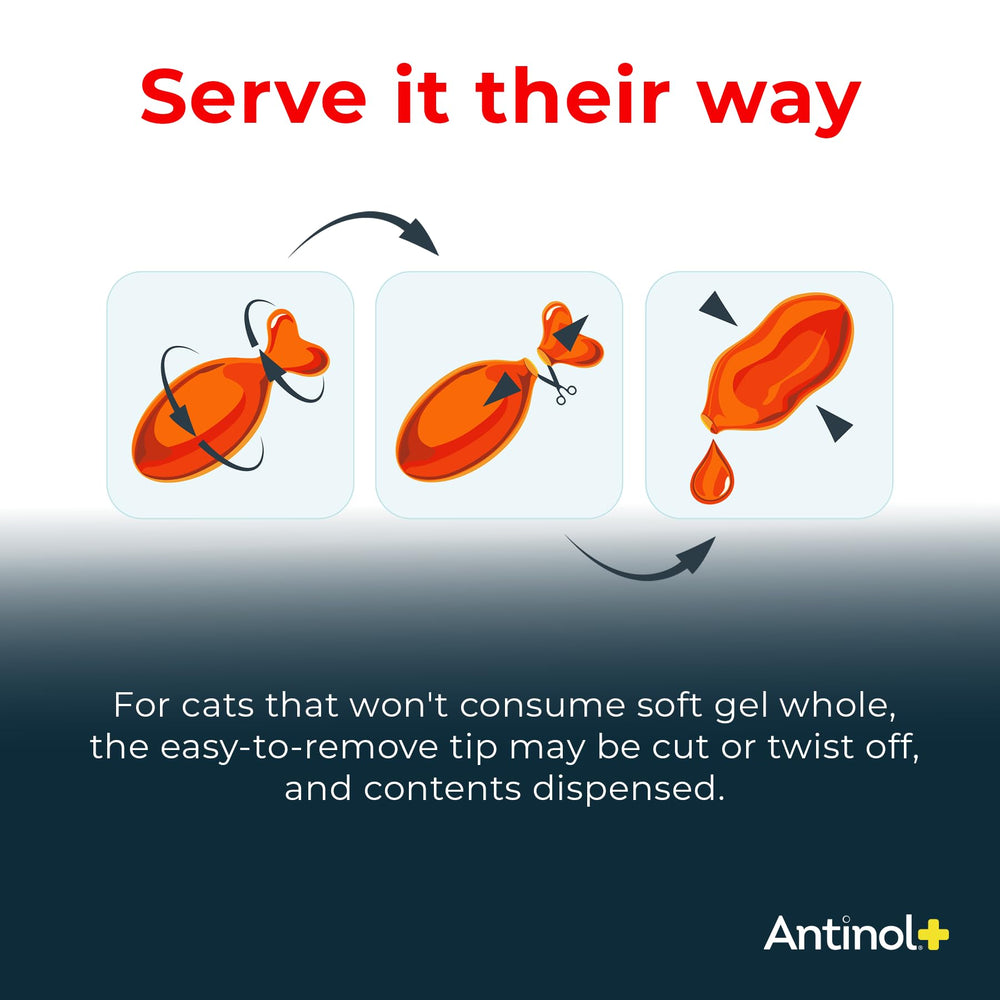 Green-lipped mussel oil ingredient used in Antinol Plus